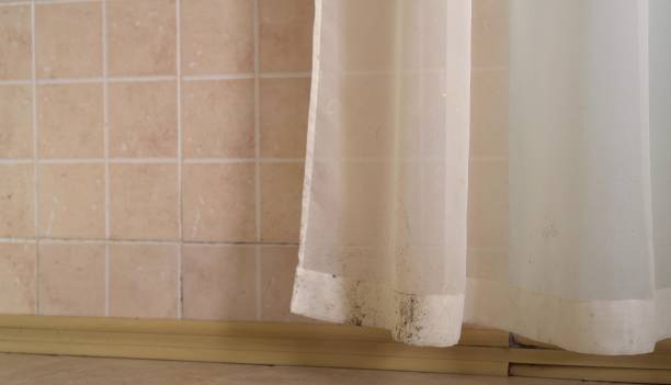Best Residential Mold Inspection & Testing  in Mount Oliver, PA