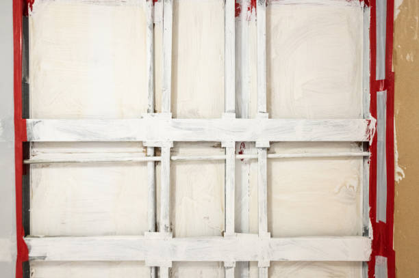 Best Biohazard Mold Removal  in Mount Oliver, PA