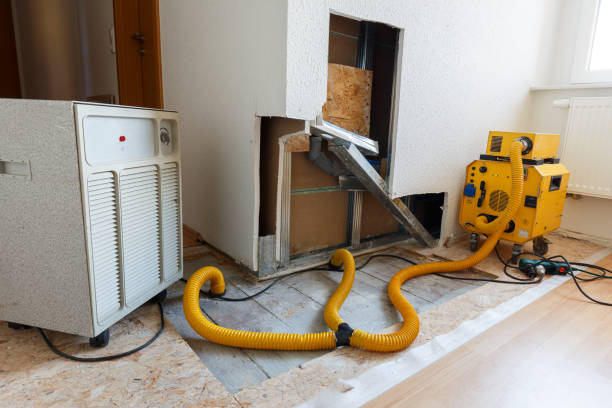 Biohazard Mold Removal in Mount Oliver, PA