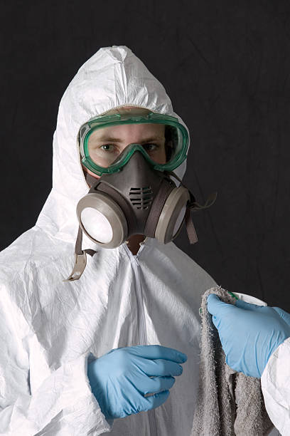 Best Mold Damage Restoration  in Mount Oliver, PA